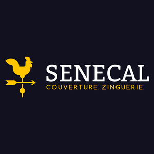 SENECAL couvreur zingueur dans le Revermont - Jura Cousance, Réparation de toiture