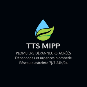 TTS MIPP Bosmie-l'Aiguille, Dépannage