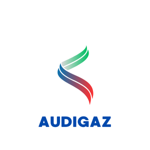 AUDIGAZ Paris 9, Dépannage