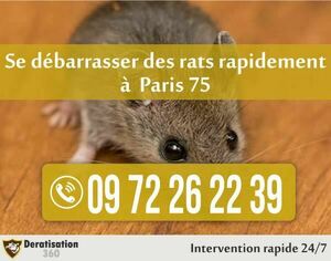 deratisation360 Paris 9, Dératisation, désinfection et désinsectisation